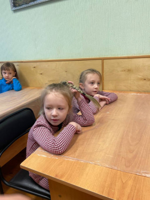 Первые шаги в новом учебном году