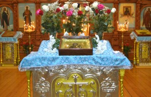 DSC 0195