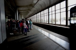 IMG 1692--
