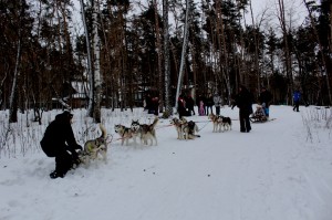 IMG 7489