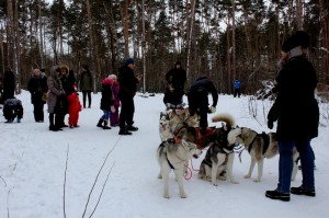 IMG 7498---