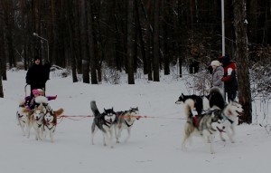 IMG 7509---
