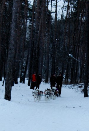 IMG 7596---