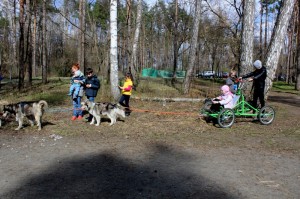 IMG 9417---