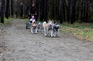 IMG 9441---