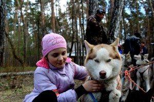 IMG 9442---