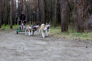 IMG 9472---