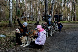 IMG 9556---