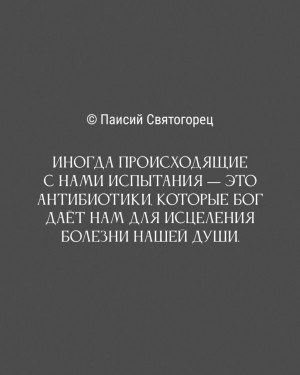 photo 09 2026-06-22 14-31-