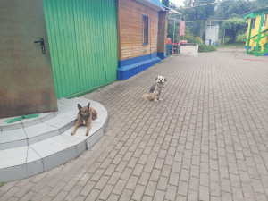 photo 2022-08-14 22-34-21