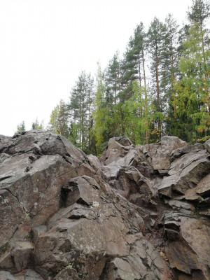 photo 2022-09-29 08-58-