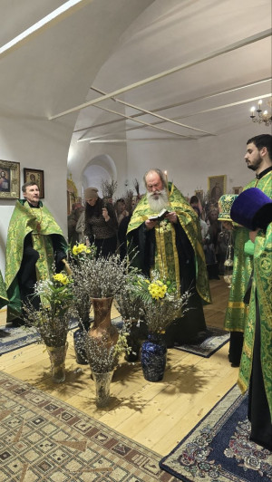 photo 7 2026-04-05 20-59-